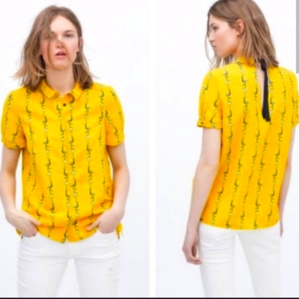 NWOT ZARA TOP